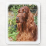 Irish Setter 9Y209D-090 mousepads