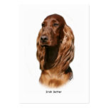 Irish Setter 9Y322D-116 business cards