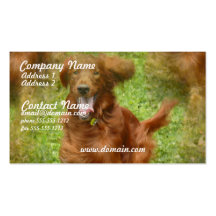 Irish Setter Business Card
