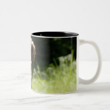 Irish Setter Coffee Mug