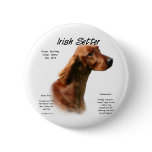 Irish Setter History Design buttons
