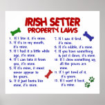 IRISH SETTER PL2 posters