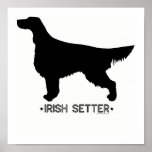 Irish Setter Print