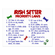 IRISH SETTER Property Laws 2 Postcards