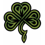 Irish Shamrock Ladies t-shirts