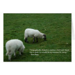 Irish Sheep cards