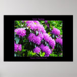 Irish Spring Poster Print