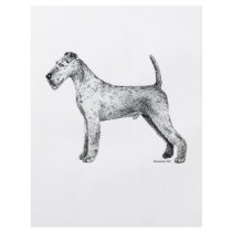 Irish Terrier Full Color Flyer