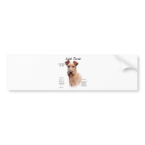 Irish Terrier History Design