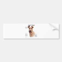Irish Terrier History Design Bumper Sticker