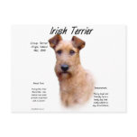 Irish Terrier History Design postcards