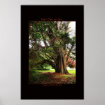 Irish Tree of Life Poster Print