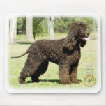 Irish Water Spaniel 9R032D-232 mousepads