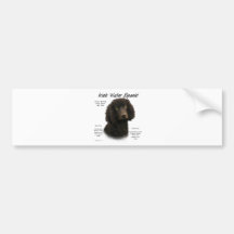 Irish Water Spaniel History Design Bumper Sticker
