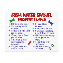 IRISH WATER SPANIEL Property Laws 2