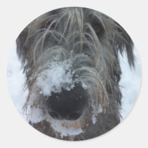 irish wolfhound playing in the snow round sticker