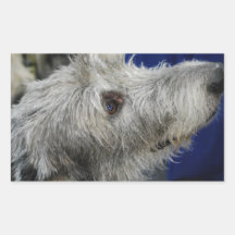 Irish Wolfhound  Stickers