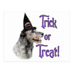 Irish Wolfhound Trick Post Cards