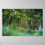 Irish Wood posters