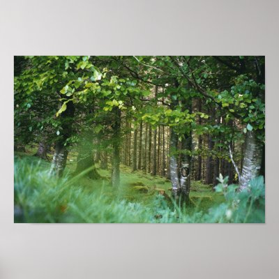 Irish Wood Posters by OneBDawn