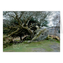 IrishTrees Card