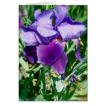 IrisZIris Greeting Card