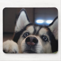 Is Anybody Out There? Mouse Pad
