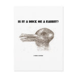 Is It A Duck Or A Rabbit? (Optical Illusion) postcards