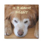 Is it almost Friday? magnets