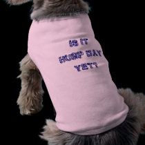 IS IT HUMP DAY YET? pet clothing