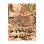 Is it Monday already? Chipmunk Postcard