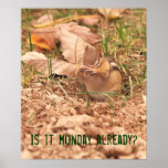 Is it Monday already? Chipmunk Poster posters