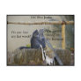 Is One Of The Earp Boys About To Be Hung? Postcard