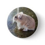 'Is that a bee'? - Tac Badge buttons
