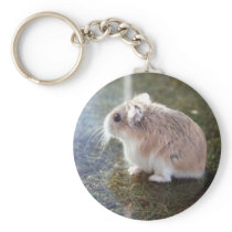 'Is that a bee'? - Tac Keychain