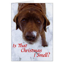 Is that Christmas I smell? Greeting Cards