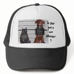 Is your pet a sex offender? HAT