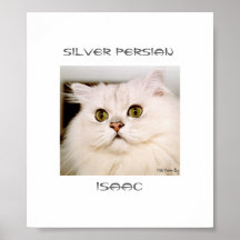 Isaac, An Extraordinary Silver Persian Print