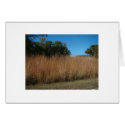 Isaiah 40:8, Grass & Flowers cards