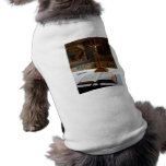 Isaiah 41:10 Bible and Cross Doggie Tshirt