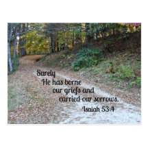 Isaiah 53:4 Surely He has borne our griefs... Post Cards