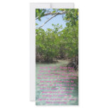 Isaiah Biblical Text Custom Rack Cards