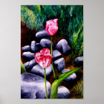 Isaiah's Tulips