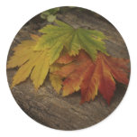 iSeasons Round Sticker