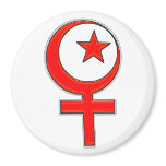 Islamic feminism... magnets