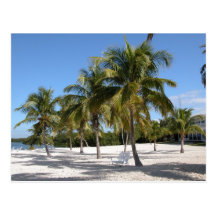 Islamorada Florida Beach Postcard