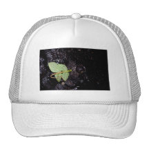 island apart mesh hat