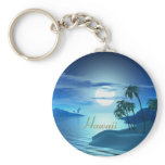 island cove-Hawaii keychains