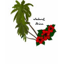 Island Diva Hibiscus and Palms Womens Beachwear t-shirts