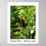 Island Life ~ Borneo style posters